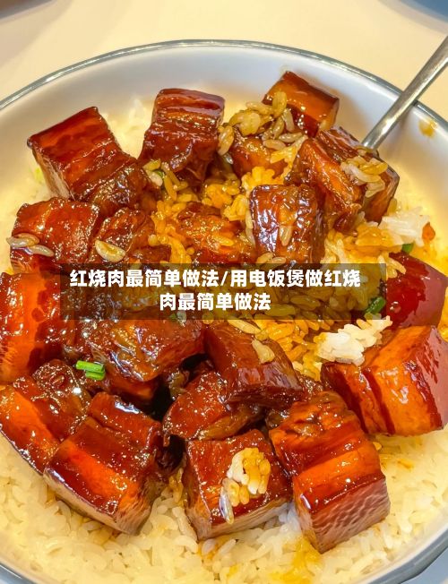 红烧肉最简单做法/用电饭煲做红烧肉最简单做法-第2张图片