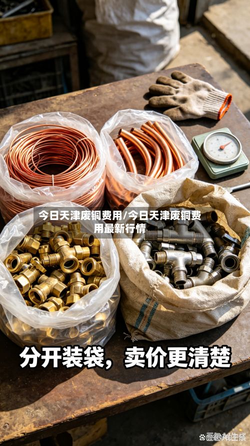 今日天津废铜费用/今日天津废铜费用最新行情