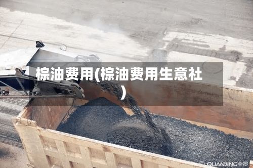 棕油费用(棕油费用生意社)-第2张图片
