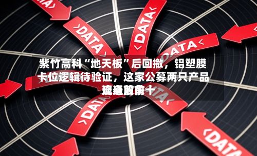 紫竹高科“地天板”后回撤	，铝塑膜卡位逻辑待验证，这家公募两只产品现身前前十流通股东-第2张图片