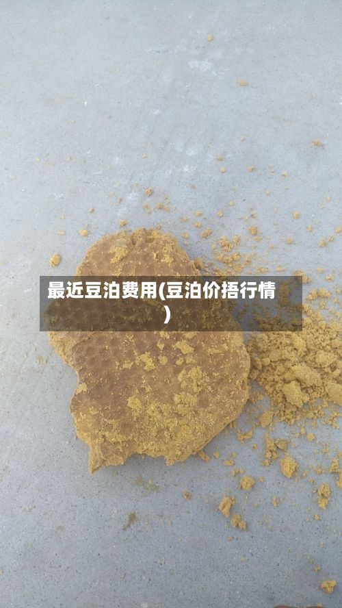 最近豆泊费用(豆泊价捂行情)