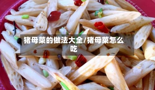 猪母菜的做法大全/猪母菜怎么吃-第3张图片