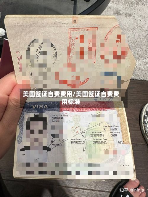 美国签证自费费用/美国签证自费费用标准