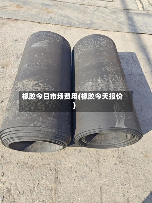 橡胶今日市场费用(橡胶今天报价)-第2张图片