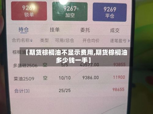 【期货棕榈油不显示费用,期货棕榈油多少钱一手】