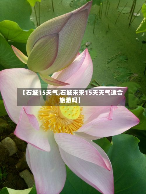 【石城15天气,石城未来15天天气适合旅游吗】