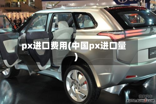 px进口费用(中国px进口量)-第3张图片