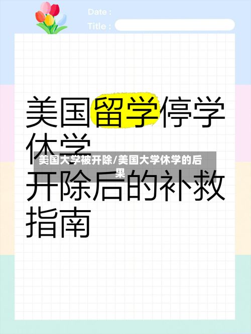 美国大学被开除/美国大学休学的后果