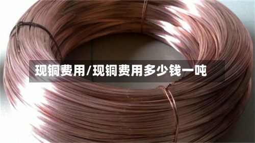 现铜费用/现铜费用多少钱一吨-第2张图片