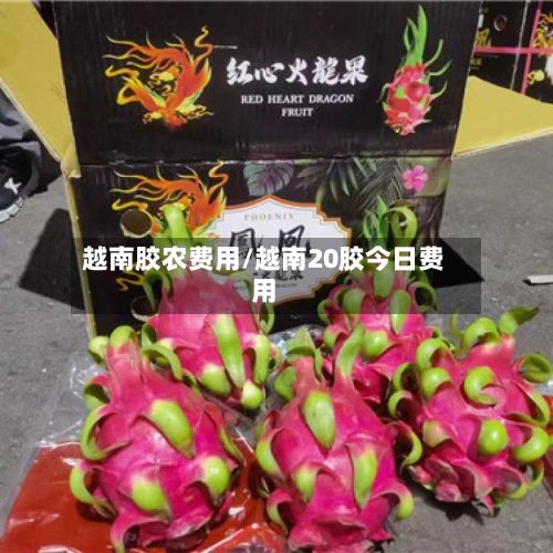 越南胶农费用/越南20胶今日费用-第2张图片