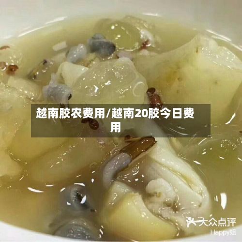 越南胶农费用/越南20胶今日费用-第3张图片