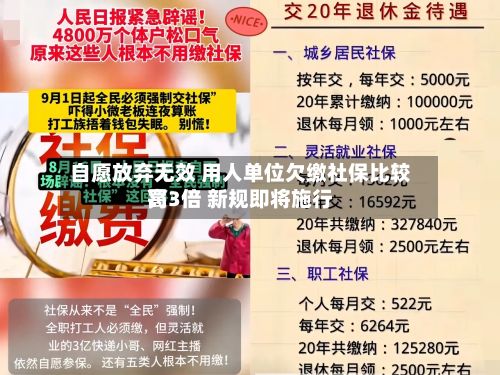 自愿放弃无效 用人单位欠缴社保比较高
罚3倍 新规即将施行-第2张图片