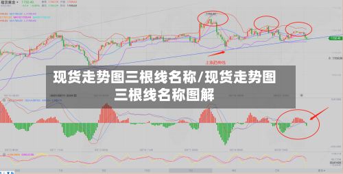 现货走势图三根线名称/现货走势图三根线名称图解-第2张图片