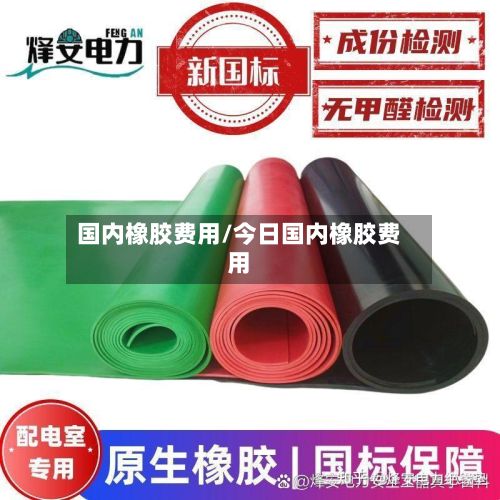 国内橡胶费用/今日国内橡胶费用-第2张图片