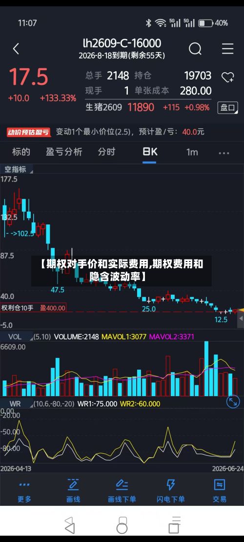 【期权对手价和实际费用,期权费用和隐含波动率】-第2张图片
