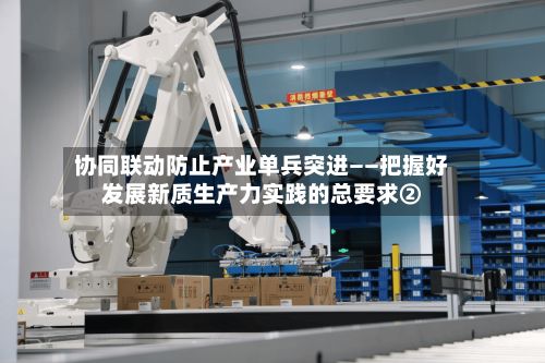 协同联动防止产业单兵突进——把握好发展新质生产力实践的总要求②-第2张图片