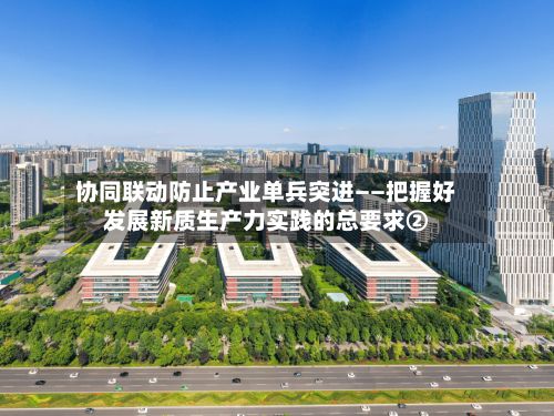 协同联动防止产业单兵突进——把握好发展新质生产力实践的总要求②-第3张图片