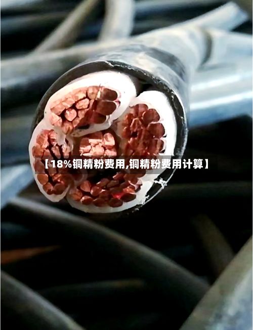 【18%铜精粉费用,铜精粉费用计算】