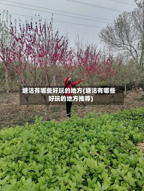 塘沽有哪些好玩的地方(塘沽有哪些好玩的地方推荐)-第2张图片