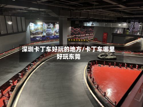 深圳卡丁车好玩的地方/卡丁车哪里好玩东莞-第2张图片