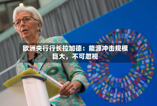 欧洲央行行长拉加德：能源冲击规模巨大，不可忽视-第2张图片