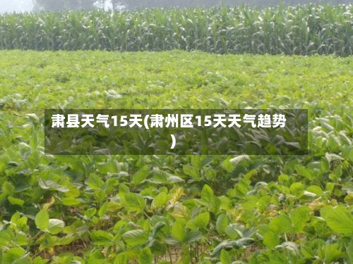 肃县天气15天(肃州区15天天气趋势)-第2张图片