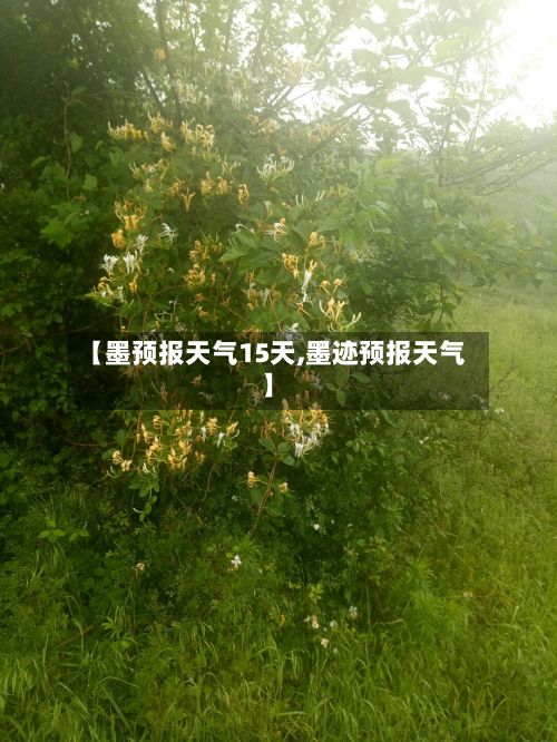 【墨预报天气15天,墨迹预报天气】-第3张图片