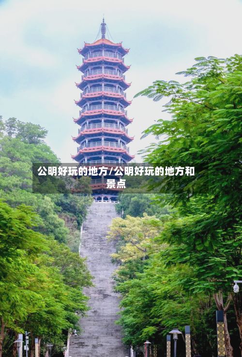 公明好玩的地方/公明好玩的地方和景点-第2张图片