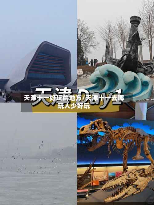 天津十一好玩的地方/天津十一去哪玩人少好玩-第3张图片