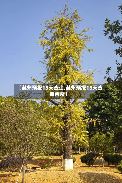 【英州预报15天查询,英州预报15天查询百度】