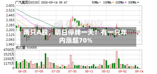 两只A股，明日停牌一天！有一只年内涨超70%-第2张图片