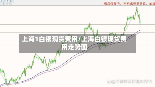上海1白银现货费用/上海白银现货费用走势图-第3张图片