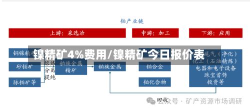 镍精矿4%费用/镍精矿今日报价表-第3张图片