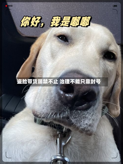 盗脸带货屡禁不止 治理不能只靠封号-第3张图片