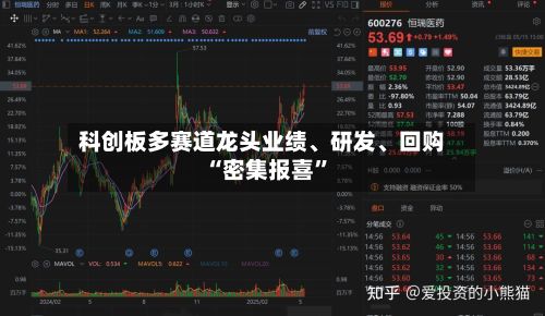 科创板多赛道龙头业绩、研发、回购“密集报喜”