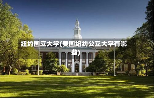 纽约国立大学(美国纽约公立大学有哪些)-第2张图片