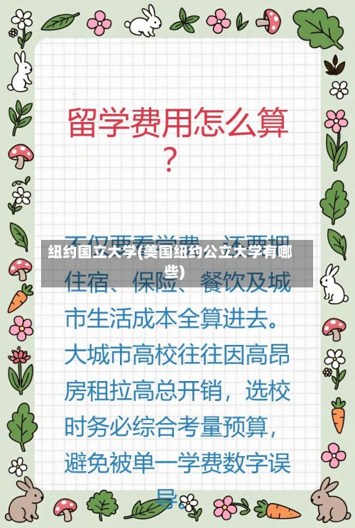 纽约国立大学(美国纽约公立大学有哪些)