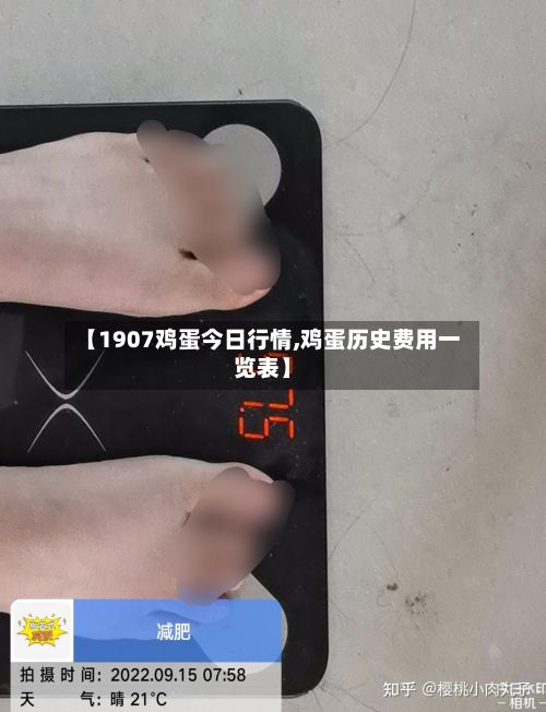 【1907鸡蛋今日行情,鸡蛋历史费用一览表】-第2张图片