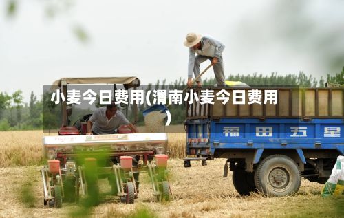 小麦今日费用(渭南小麦今日费用)-第3张图片
