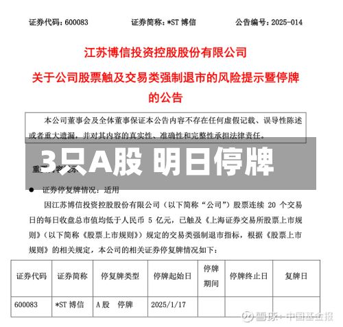 3只A股 明日停牌-第1张图片