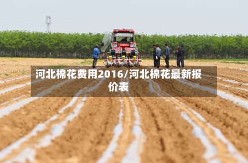 河北棉花费用2016/河北棉花最新报价表