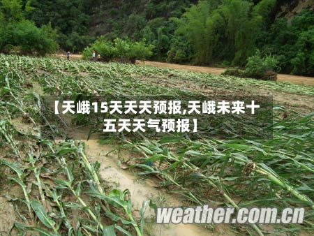 【天峨15天天天预报,天峨未来十五天天气预报】-第2张图片