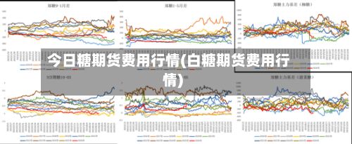 今日糖期货费用行情(白糖期货费用行情)