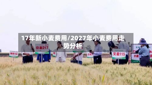 17年新小麦费用/2027年小麦费用走势分析-第2张图片
