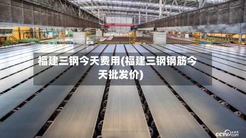 福建三钢今天费用(福建三钢钢筋今天批发价)