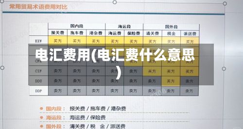 电汇费用(电汇费什么意思)