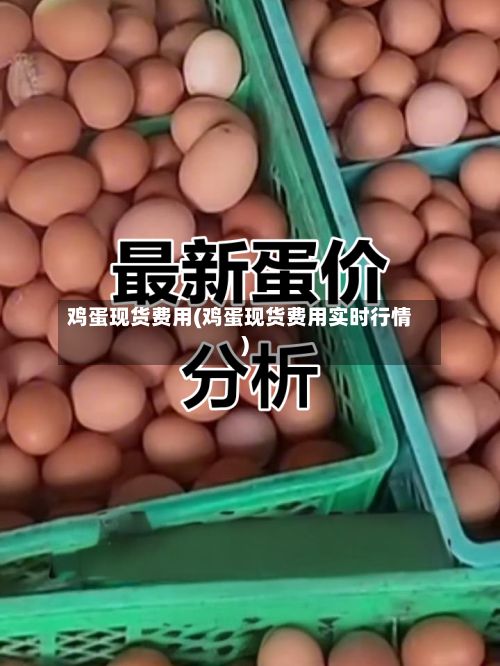 鸡蛋现货费用(鸡蛋现货费用实时行情)
