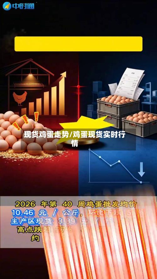 现货鸡蛋走势/鸡蛋现货实时行情