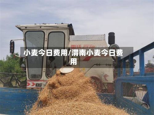 小麦今日费用/渭南小麦今日费用-第2张图片