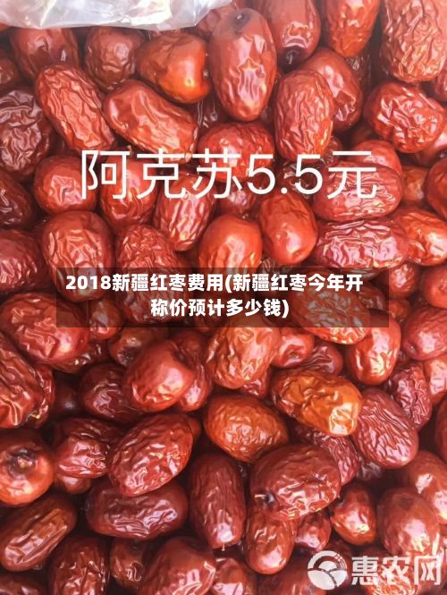 2018新疆红枣费用(新疆红枣今年开称价预计多少钱)-第2张图片